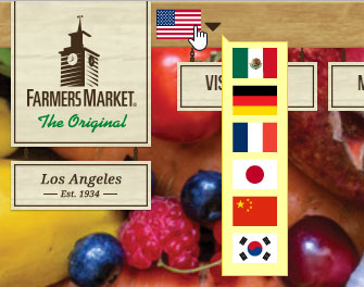 Language options of OFM