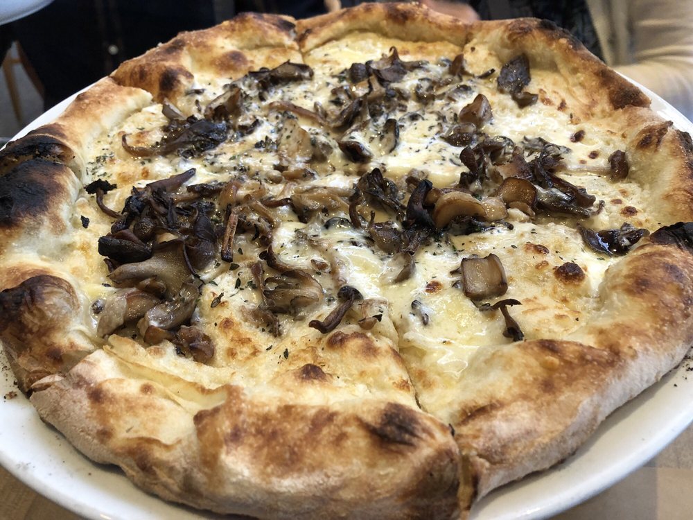 MUSHROOM PIE
