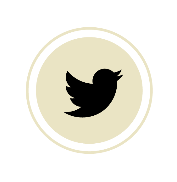 Twitter Icon