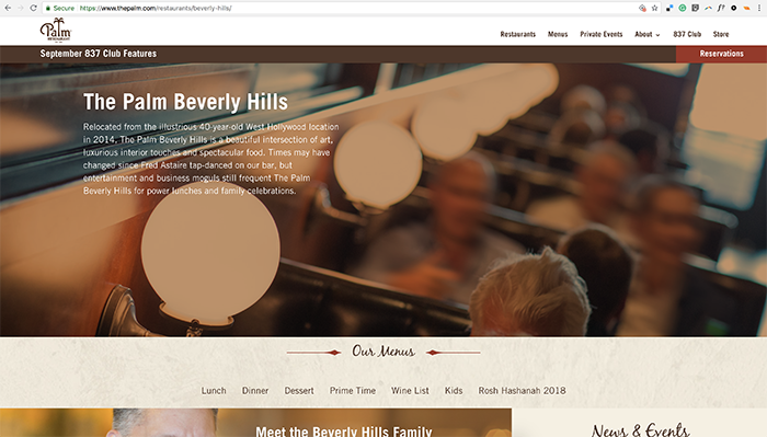 screenshot of the palm website