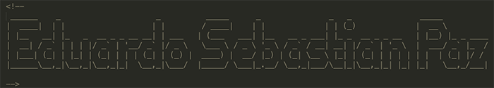 Eduardo Sebastian Paz ASCII Art