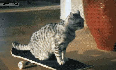 An animation of a cat riding on a skateboard